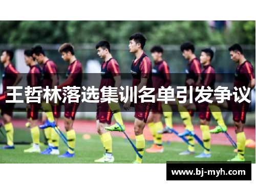 王哲林落选集训名单引发争议